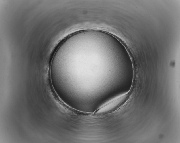 X0000099501507200805291117