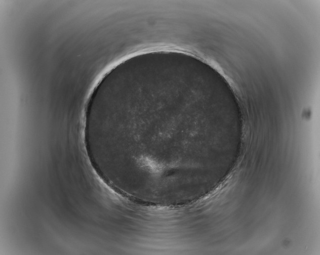 X0000099501508200805291117