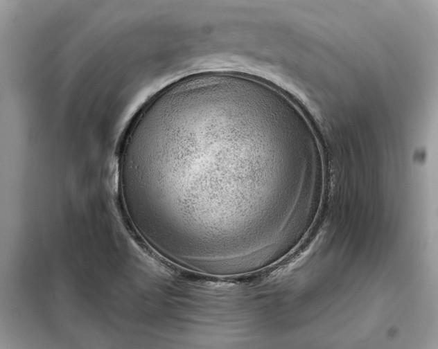 X0000099501509200805291117