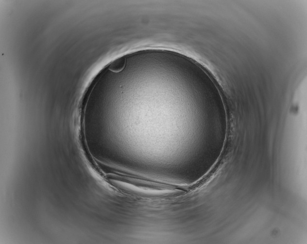 X0000099501511200805291117