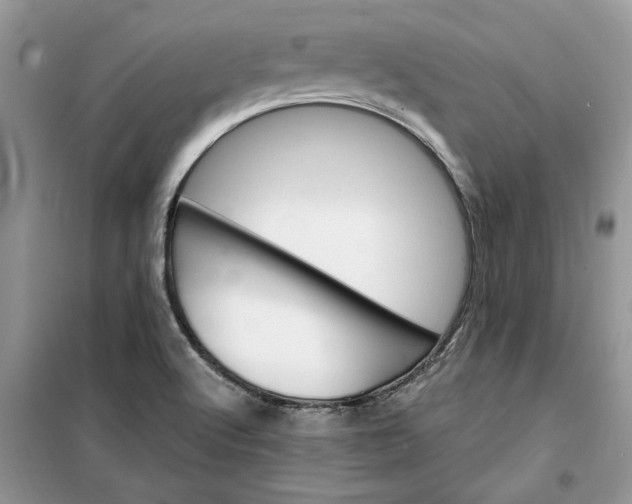X0000099501512200805291117