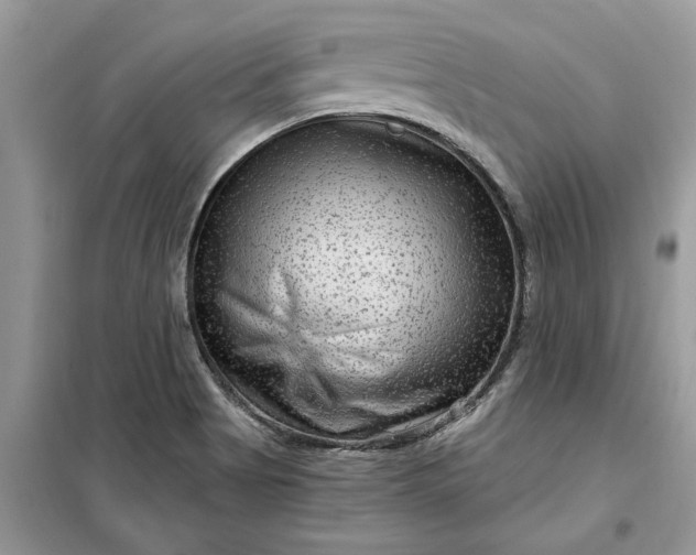 X0000099501513200805291117