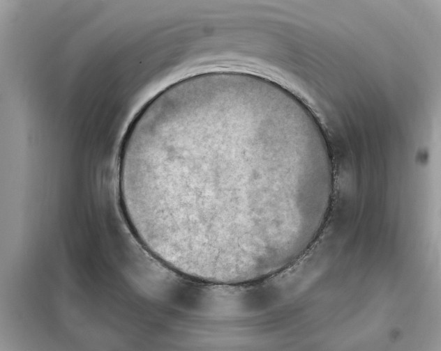 X0000099501514200805291117