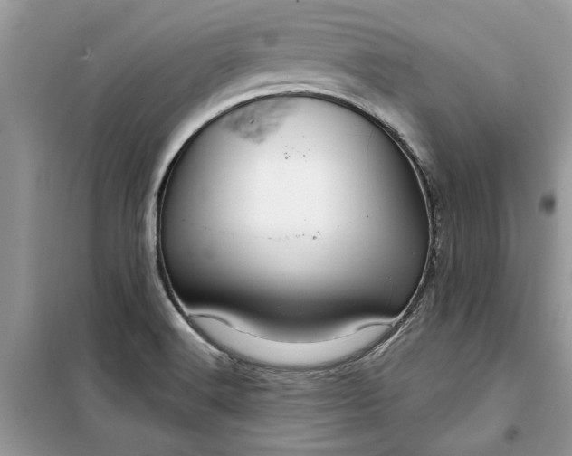 X0000099501516200805291117
