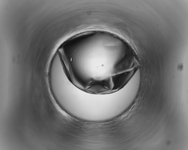 X0000099501519200805291117