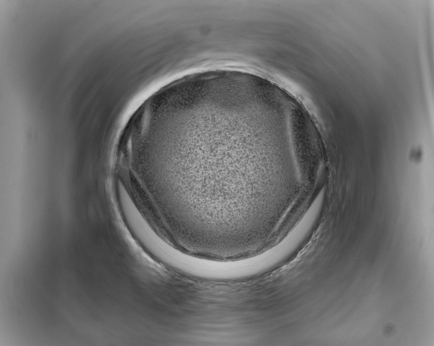 X0000099501520200805291117