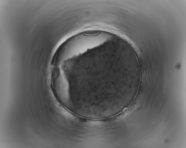 X0000099501522200805291117