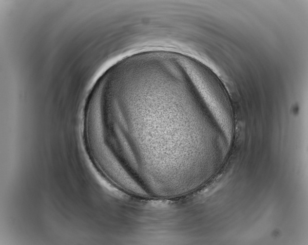 X0000099501523200805291117