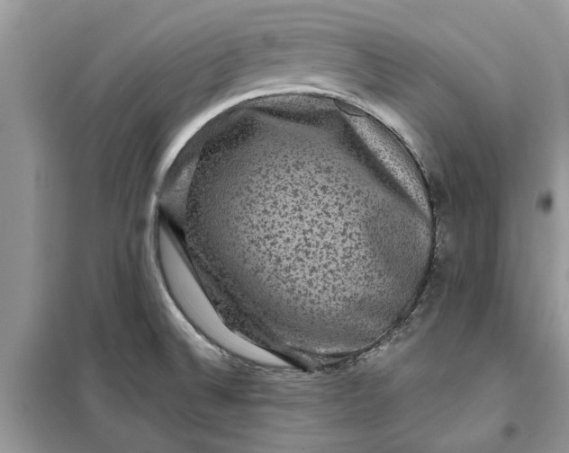 X0000099501524200805291117