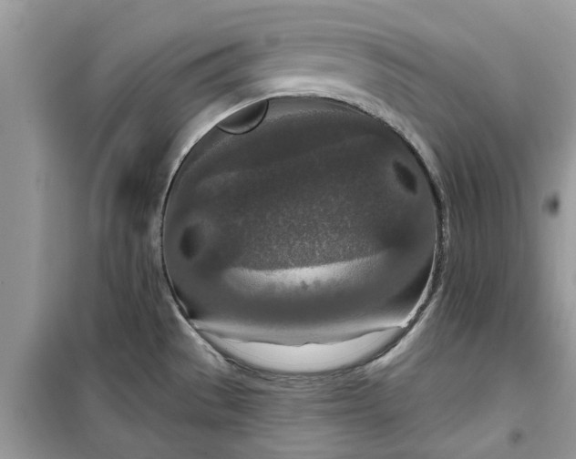 X0000099501529200805291117