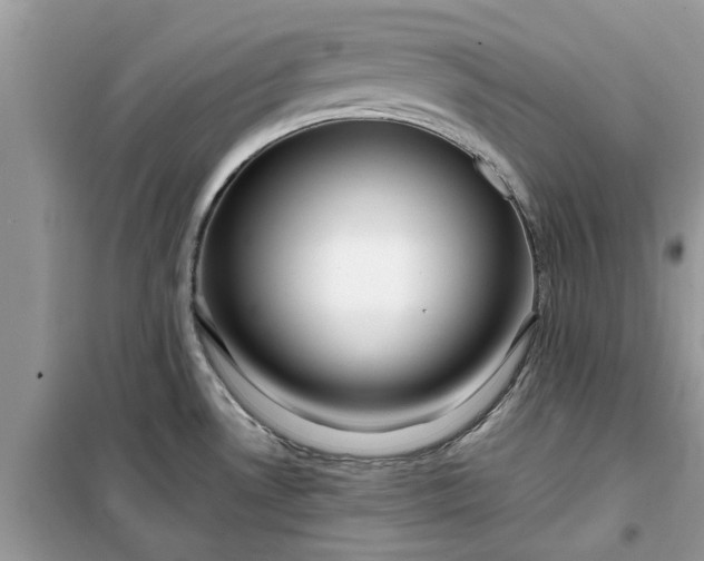 X0000099501530200805291117