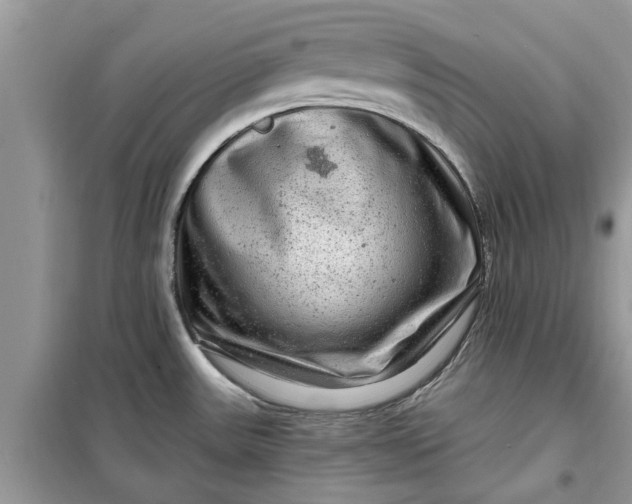 X0000099501531200805291117