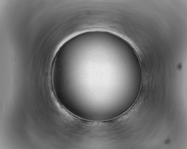 X0000099501534200805291117
