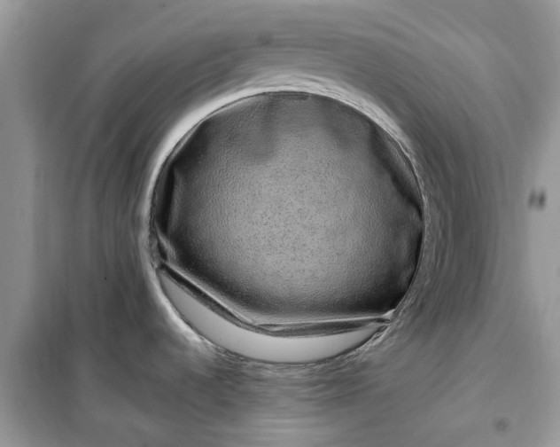 X0000099501536200805291117