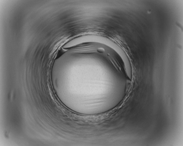 X0000099500001200806051134