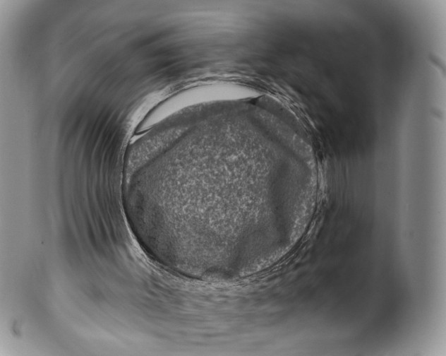 X0000099500003200806051134