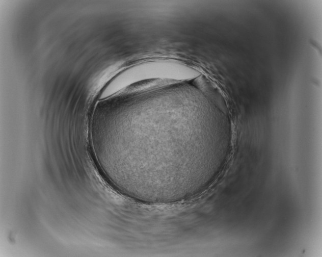 X0000099500005200806051134