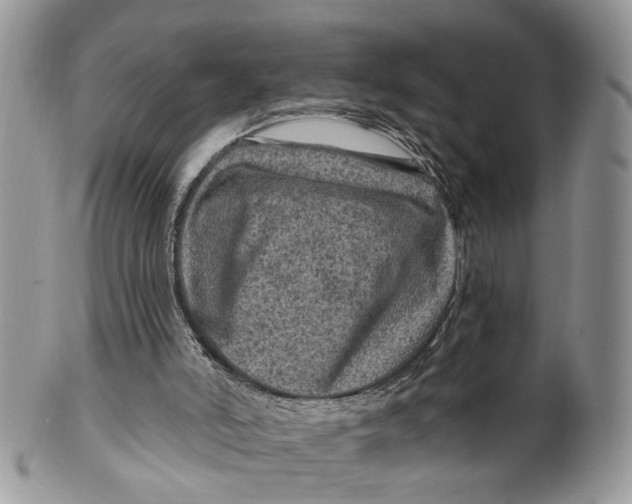 X0000099500006200806051134