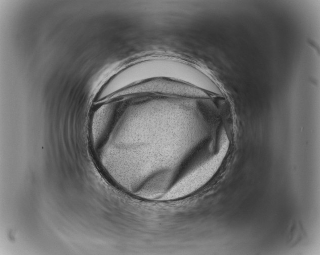 X0000099500007200806051134