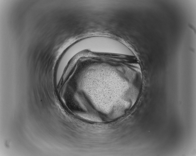 X0000099500008200806051134