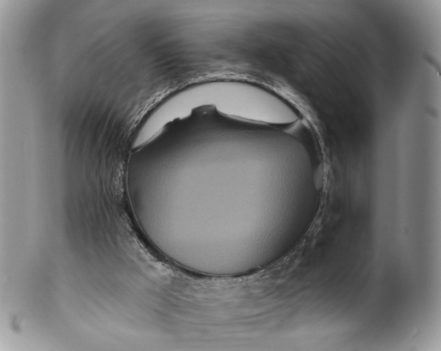 X0000099500009200806051134