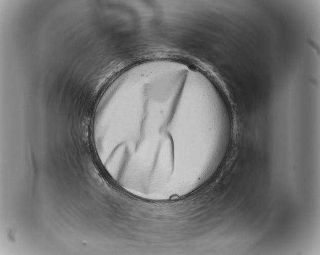 X0000099500010200806051134