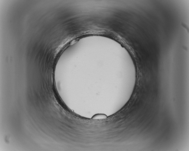 X0000099500011200806051134