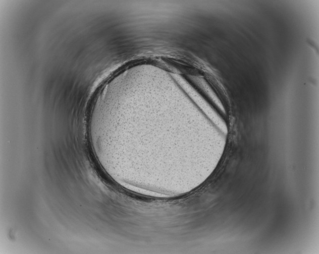 X0000099500012200806051134