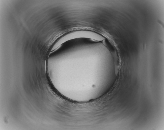 X0000099500013200806051134