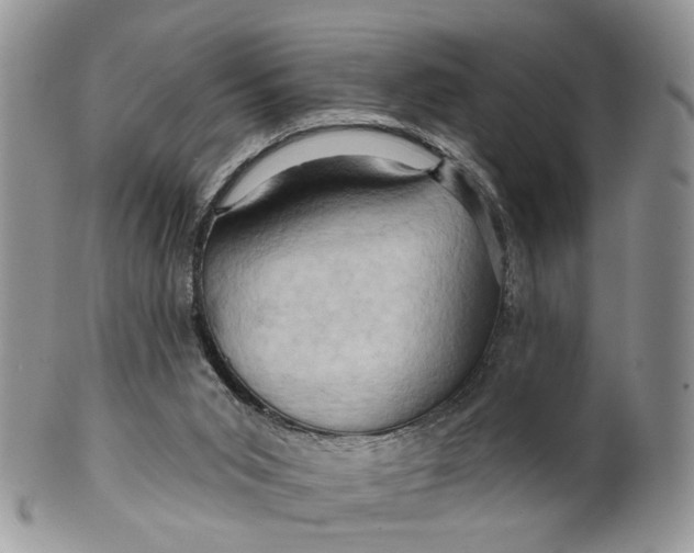 X0000099500015200806051134