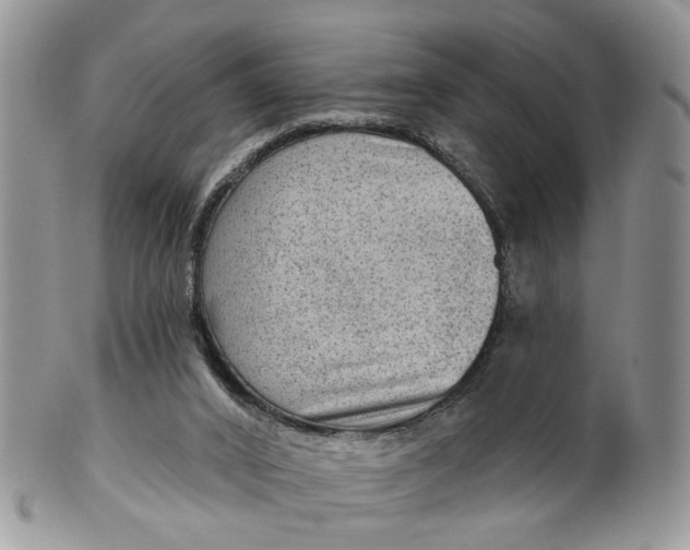 X0000099500016200806051134