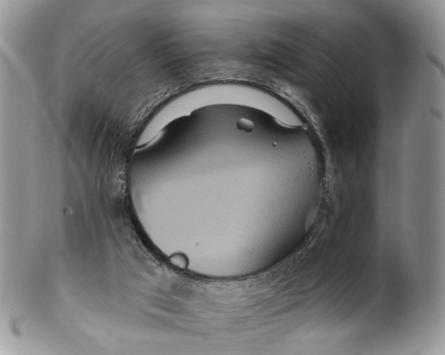 X0000099500017200806051134