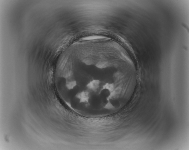 X0000099500018200806051134