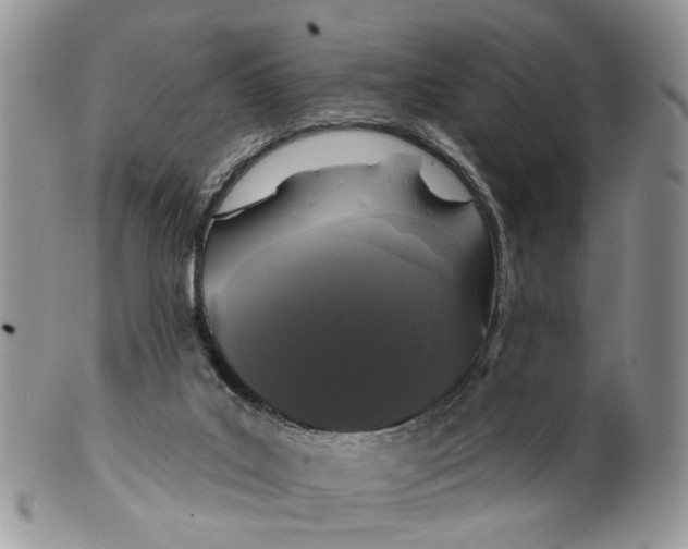 X0000099500019200806051133