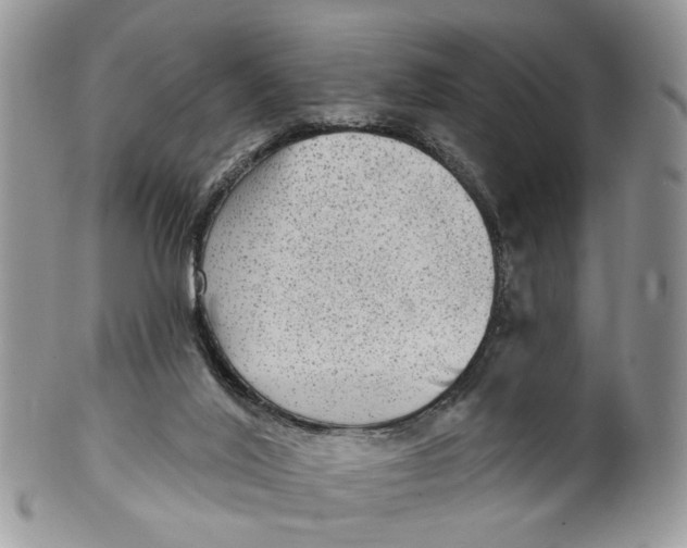 X0000099500020200806051133