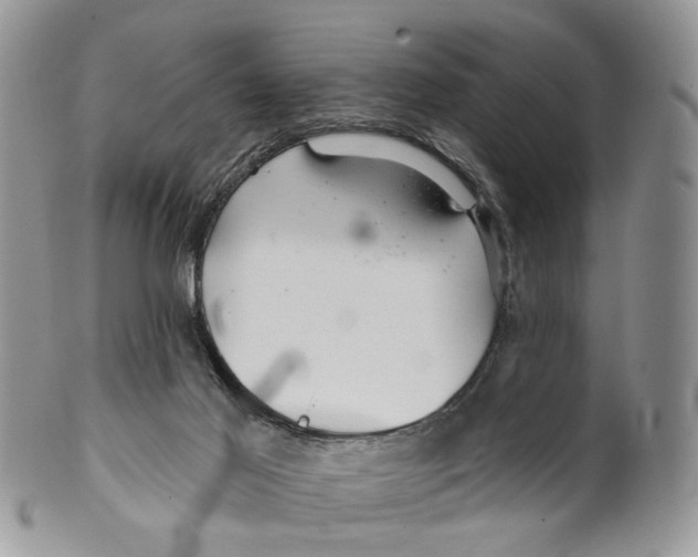 X0000099500021200806051133