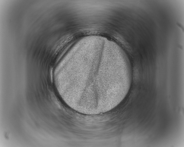 X0000099500022200806051133