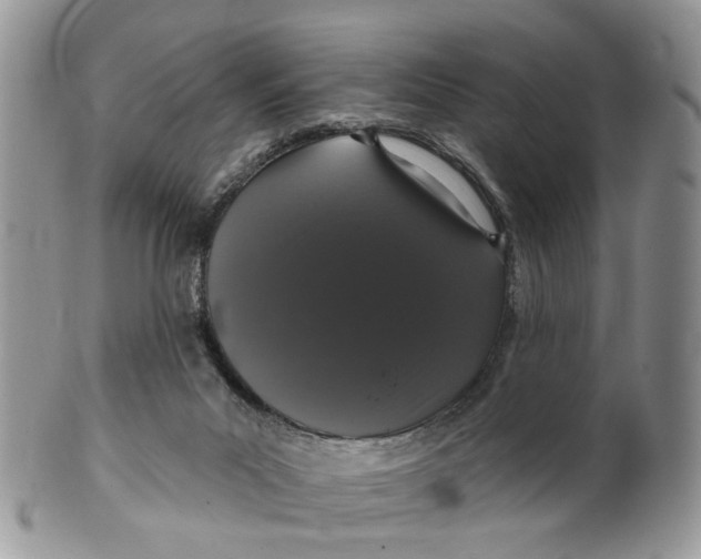 X0000099500023200806051133