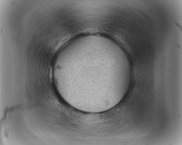 X0000099500024200806051133