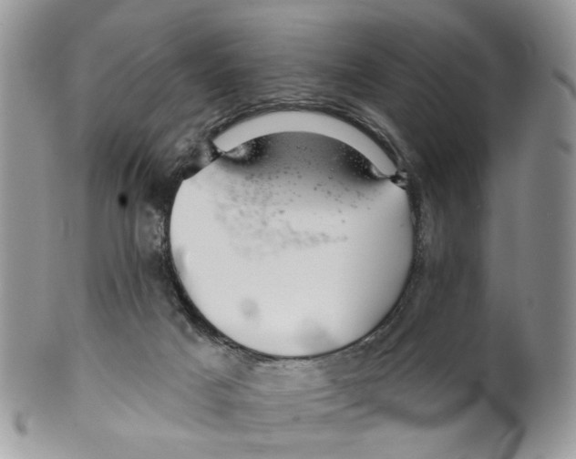 X0000099500025200806051133