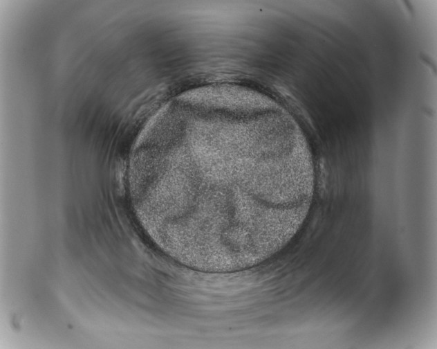 X0000099500026200806051133