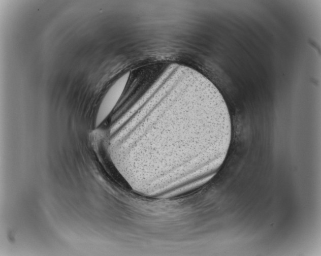 X0000099500028200806051133