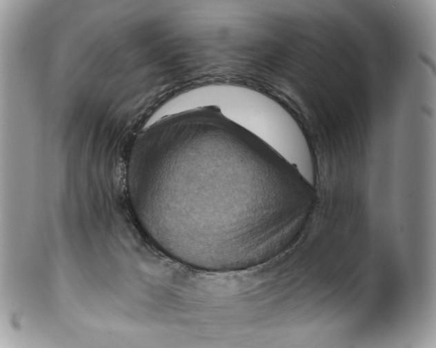 X0000099500029200806051133