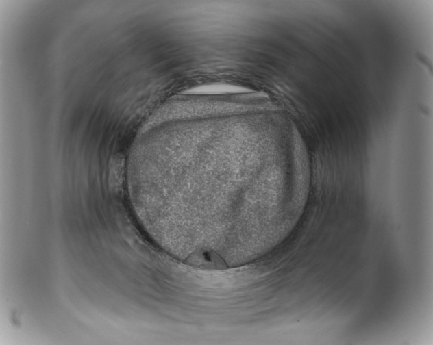 X0000099500030200806051133