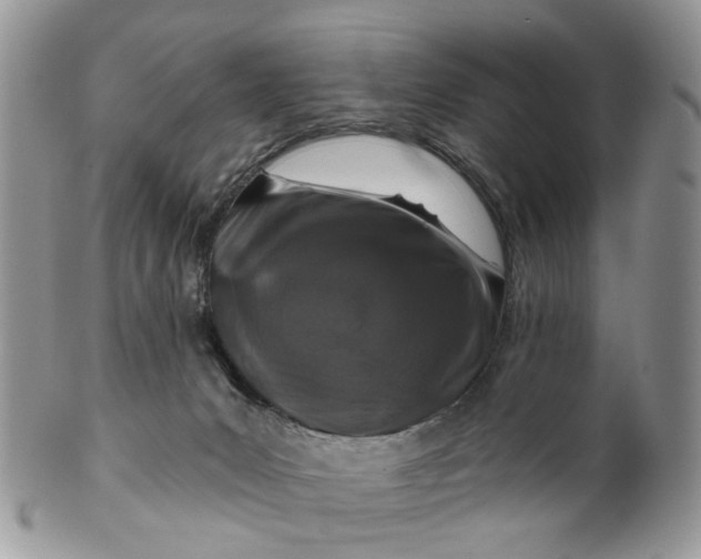 X0000099500031200806051133