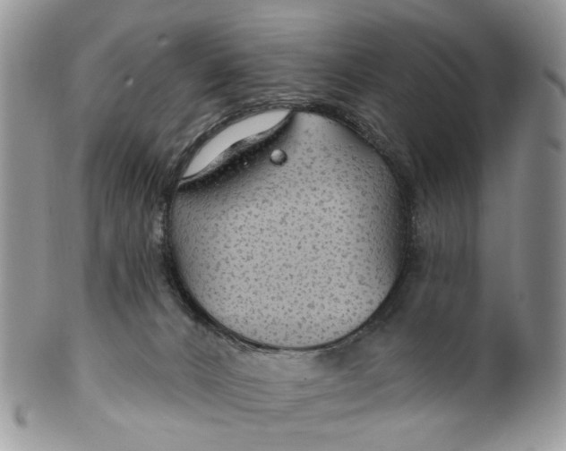 X0000099500032200806051133