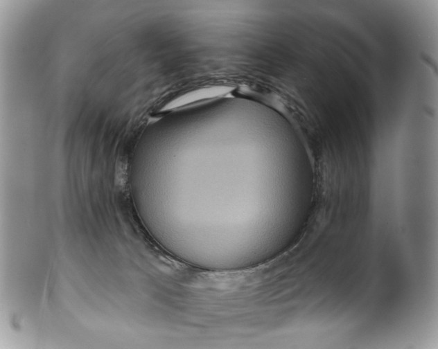 X0000099500033200806051133