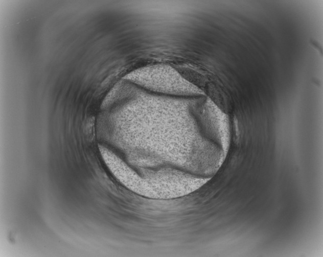 X0000099500034200806051133