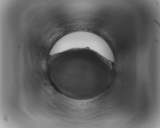 X0000099500035200806051133