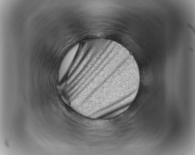 X0000099500036200806051133